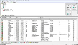 Вид отображаемой системы Patrol
