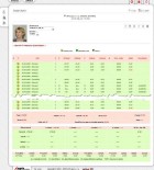 Просмотр данных посещаемости в текстовом виде