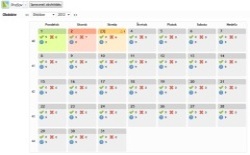 Ежемесячный отчет обходов